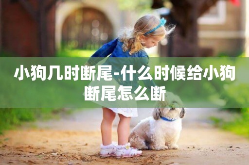 小狗幾時斷尾-什么時候給小狗斷尾怎么斷