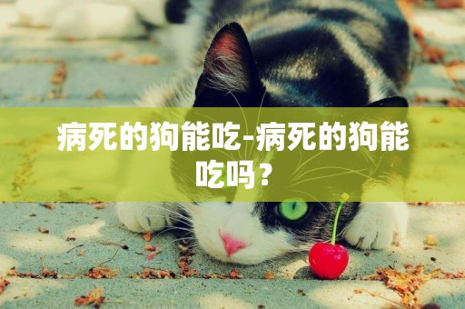 病死的狗能吃-病死的狗能吃嗎？