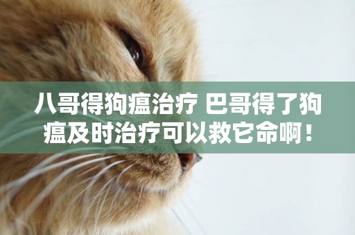 八哥得狗瘟治療 巴哥得了狗瘟及時治療可以救它命啊！