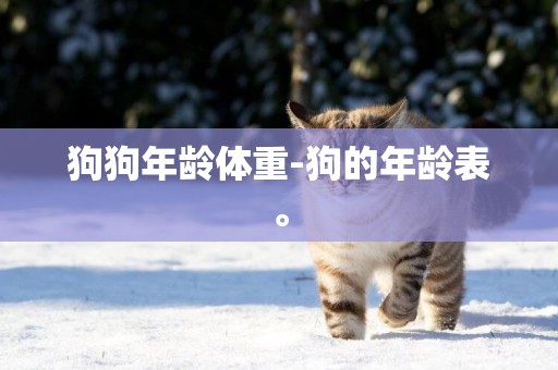 狗狗年齡體重-狗的年齡表。