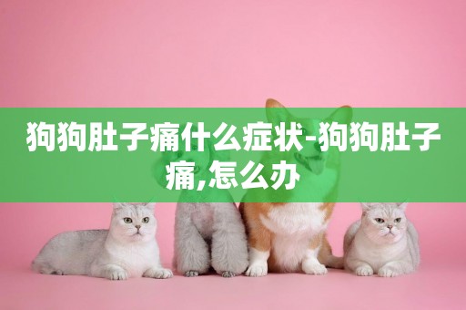 狗狗肚子痛什么癥狀-狗狗肚子痛,怎么辦