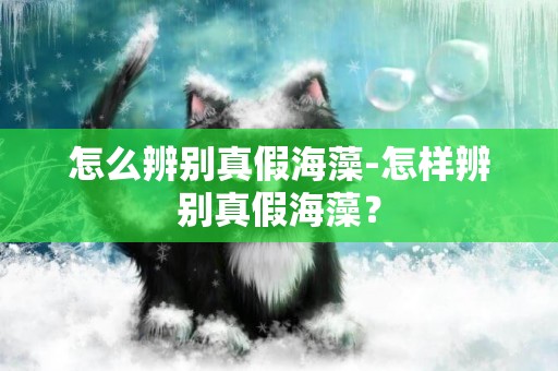 怎么辨別真假海藻-怎樣辨別真假海藻？