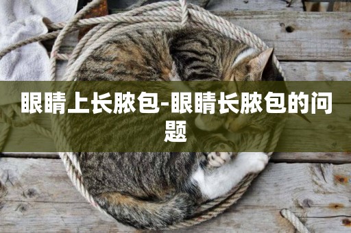 眼睛上長膿包-眼睛長膿包的問題