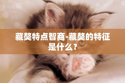 藏獒特點智商-藏獒的特征是什么？