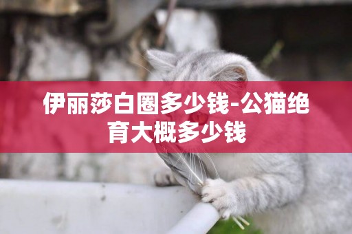 伊麗莎白圈多少錢-公貓絕育大概多少錢
