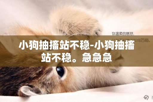 小狗抽搐站不穩-小狗抽搐站不穩。急急急