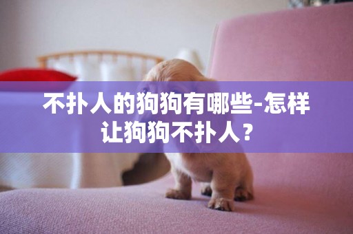 不撲人的狗狗有哪些-怎樣讓狗狗不撲人？