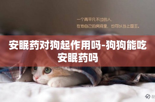 安眠藥對狗起作用嗎-狗狗能吃安眠藥嗎