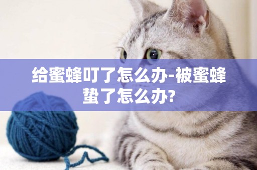 給蜜蜂叮了怎么辦-被蜜蜂蟄了怎么辦?