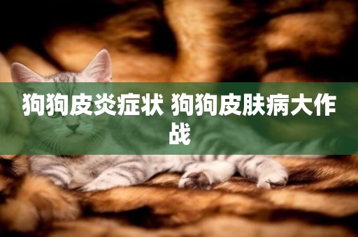 狗狗皮炎癥狀 狗狗皮膚病大作戰