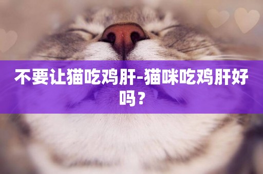 不要讓貓吃雞肝-貓咪吃雞肝好嗎？