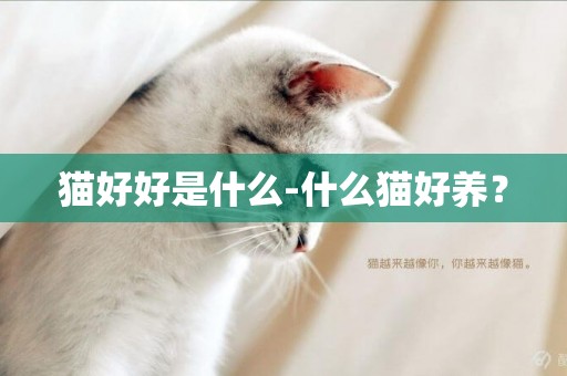 貓好好是什么-什么貓好養？