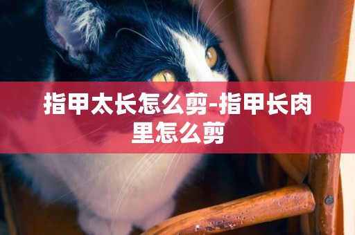指甲太長怎么剪-指甲長肉里怎么剪