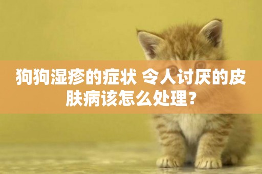 狗狗濕疹的癥狀 令人討厭的皮膚病該怎么處理？