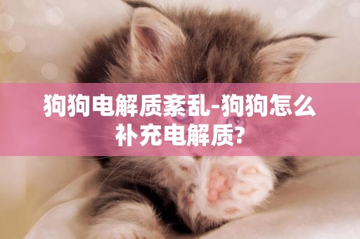 狗狗電解質紊亂-狗狗怎么補充電解質?