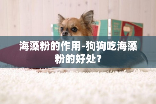 海藻粉的作用-狗狗吃海藻粉的好處？