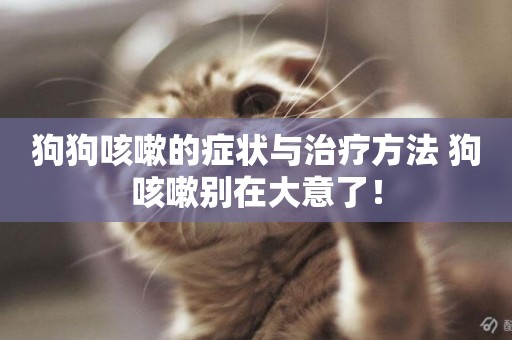 狗狗咳嗽的癥狀與治療方法 狗咳嗽別在大意了！