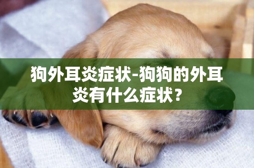 狗外耳炎癥狀-狗狗的外耳炎有什么癥狀？