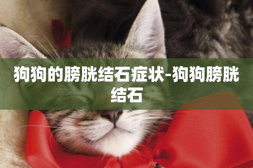 狗狗的膀胱結石癥狀-狗狗膀胱結石