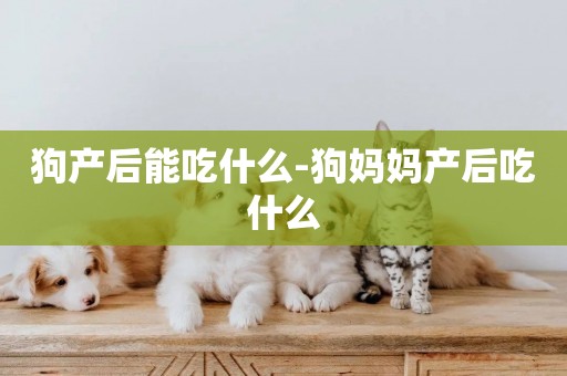 狗產后能吃什么-狗媽媽產后吃什么