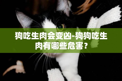 狗吃生肉會變兇-狗狗吃生肉有哪些危害？