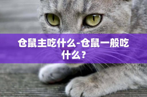 倉鼠主吃什么-倉鼠一般吃什么？