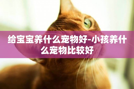 給寶寶養什么寵物好-小孩養什么寵物比較好