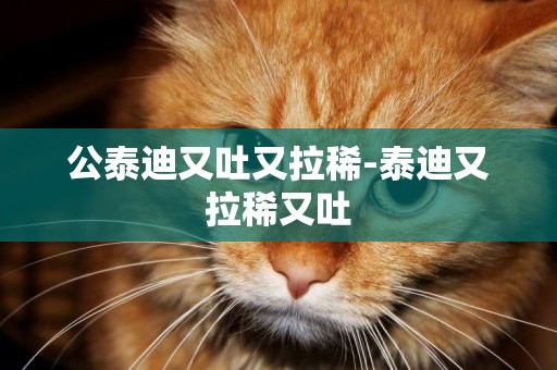 公泰迪又吐又拉稀-泰迪又拉稀又吐
