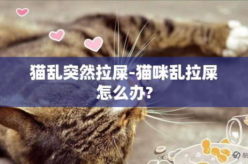 貓亂突然拉屎-貓咪亂拉屎怎么辦?