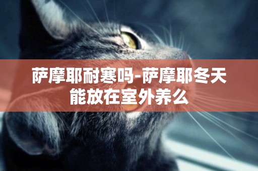 薩摩耶耐寒嗎-薩摩耶冬天能放在室外養么