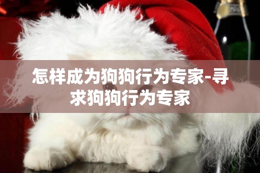 怎樣成為狗狗行為專家-尋求狗狗行為專家