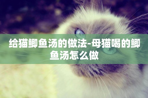 給貓鯽魚湯的做法-母貓喝的鯽魚湯怎么做
