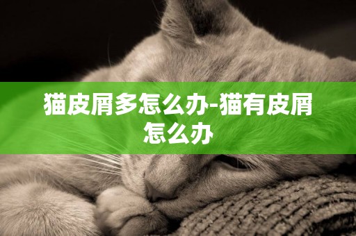 貓皮屑多怎么辦-貓有皮屑怎么辦