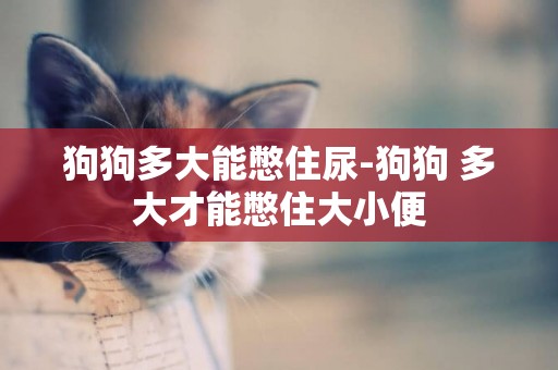 狗狗多大能憋住尿-狗狗 多大才能憋住大小便