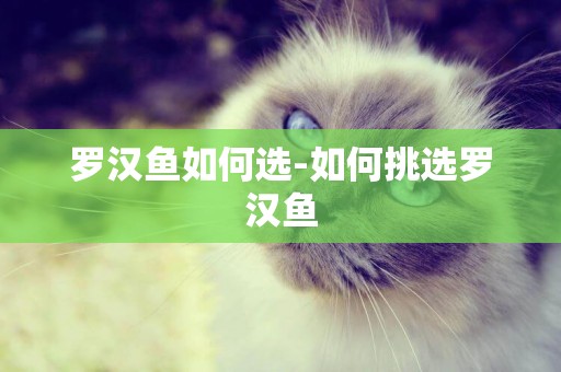 羅漢魚如何選-如何挑選羅漢魚