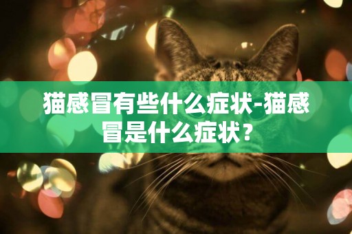 貓感冒有些什么癥狀-貓感冒是什么癥狀？