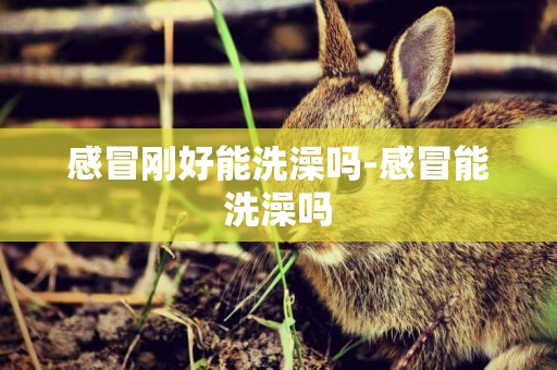 感冒剛好能洗澡嗎-感冒能洗澡嗎