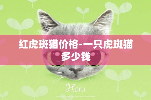 紅虎斑貓價格-一只虎斑貓多少錢