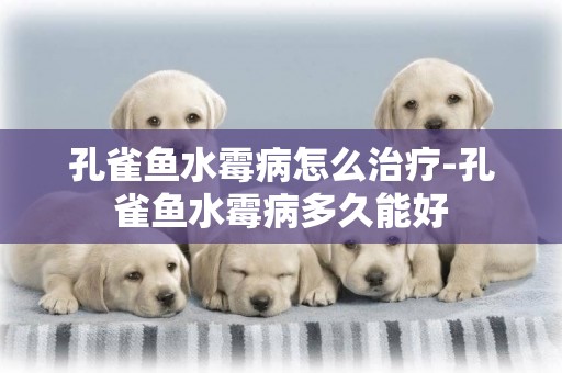 孔雀魚水霉病怎么治療-孔雀魚水霉病多久能好