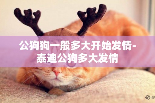 公狗狗一般多大開始發情-泰迪公狗多大發情