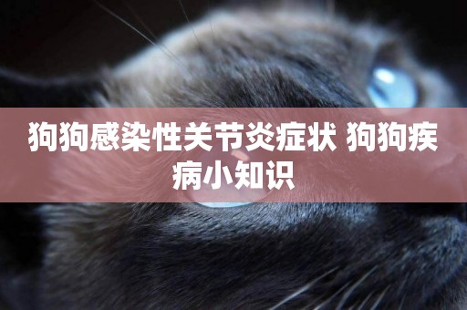 狗狗感染性關節炎癥狀 狗狗疾病小知識