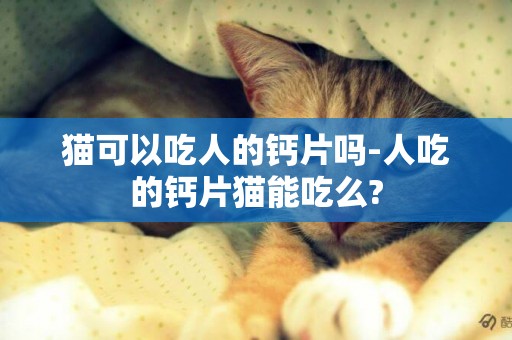 貓可以吃人的鈣片嗎-人吃的鈣片貓能吃么?