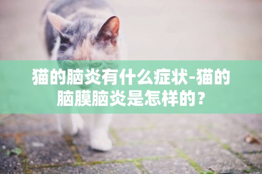 貓的腦炎有什么癥狀-貓的腦膜腦炎是怎樣的？