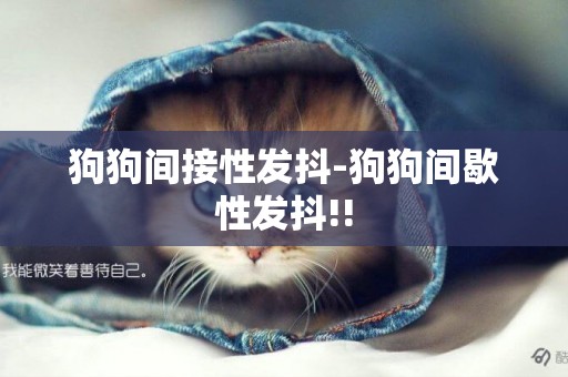 狗狗間接性發抖-狗狗間歇性發抖!!