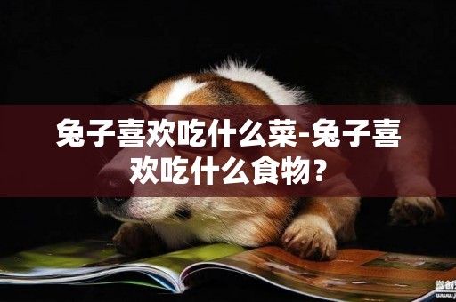兔子喜歡吃什么菜-兔子喜歡吃什么食物？