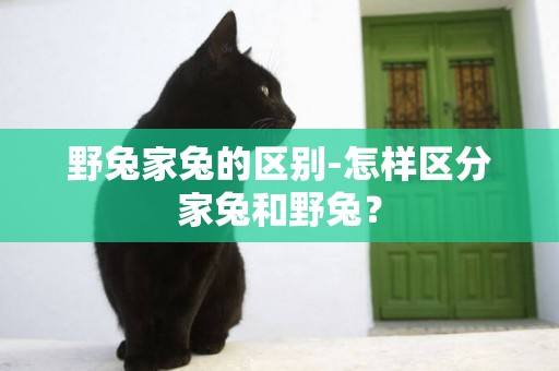 野兔家兔的區別-怎樣區分家兔和野兔？