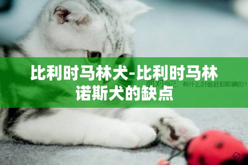 比利時馬林犬-比利時馬林諾斯犬的缺點
