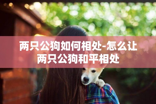 兩只公狗如何相處-怎么讓兩只公狗和平相處