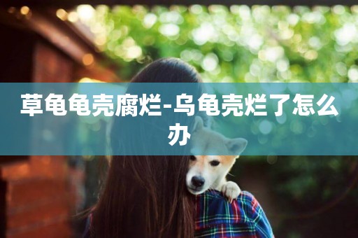 草龜龜殼腐爛-烏龜殼爛了怎么辦