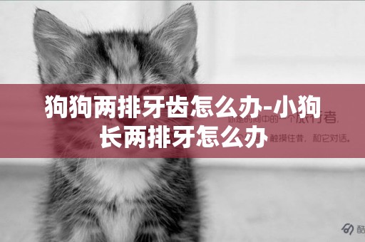 狗狗兩排牙齒怎么辦-小狗長兩排牙怎么辦